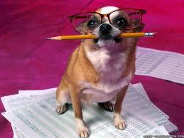 Funny Biz Speech Writers